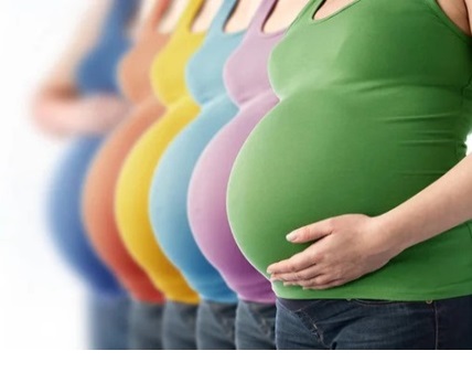 Pregnancy